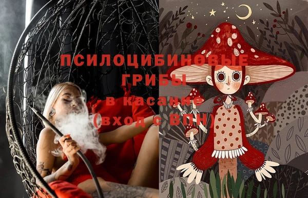 гашиш Каменногорск