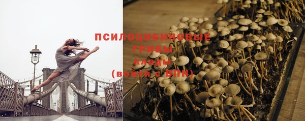 гашиш Каменногорск